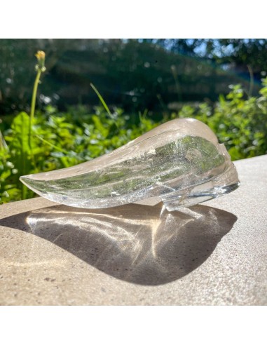 Crâne du voyageur en cristal de roche pas cher